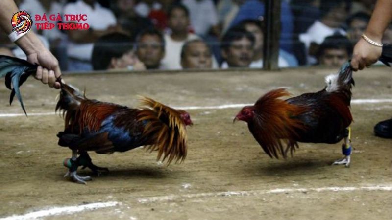 Quản lý ngân sách hợp lý