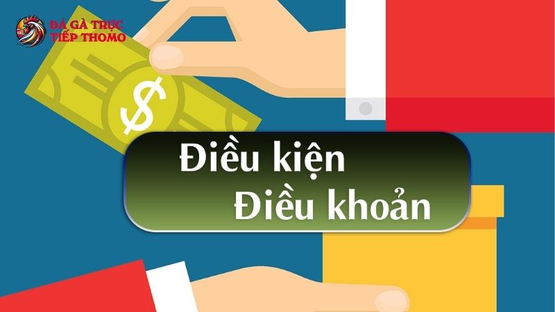 Điều kiện điều khoản về bảo mật thông tin cá nhân