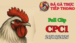 Full Clip Đá Gà Thomo Trực Tiếp C1 Ngày 26/06/2025