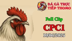 Full Video Clip Đá Gà Trực Tiếp C1 Ngày 10/06/2025