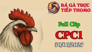 Clip Đá Gà Trực Tiếp C1 Hôm Nay 30/06/2025