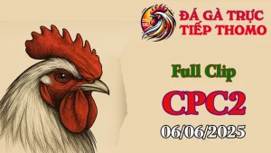 Full Clip Đá Gà Thomo C2 Ngày 06/06/2025