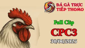 Full Video Đá Gà Thomo C3 Ngày 30/06/2025