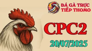 Clip Đá Gà Trực Tiếp C1 Hôm Nay Ngày 20/07/2025