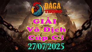 Gà Đá Giải Thomo C3 Hôm Nay Ngày 27/07/2025