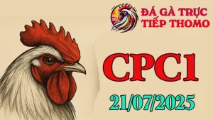 Highlight Đá Gà Trực Tiếp C1 Ngày 21/07/2025