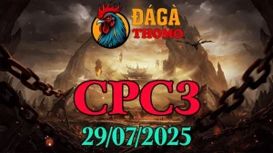 Phát Lại Các Trận Đá Gà Thomo C3 Hôm Nay 29/07/2025