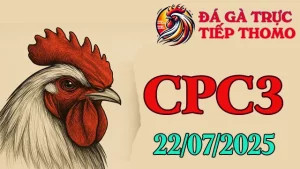 Video Clip Đá Gà C3 Trực Tiếp Hôm Nay Ngày 22/07/2025