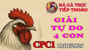 Bồ CPC1 Gà Đá Giải 4 Con Tự Do Ngày 10/07/2025