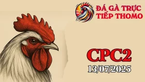 Xem Lại Clip Đá Gà Trực Tiếp C2 Hôm Nay 13/07/2025