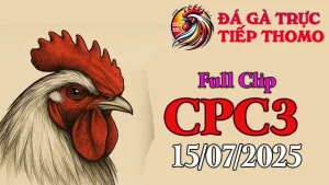 Full Video Đá Gà C3 Hôm Nay 15/07/2025
