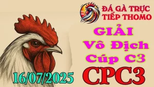 Gà Đá Giải thomo Hôm Nay CPC3 16/07/2025 - Giải Vô Địch Cúp C3
