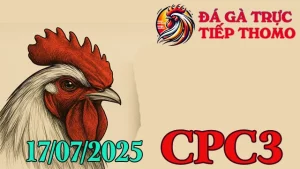 Tổng Hợp Clip Đá Gà Thomo Hôm Nay C3 Ngày 17/07/2025