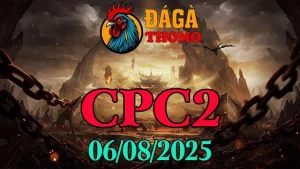 Full Clip Đá Gà Thomo Hôm Nay C2 Ngày 06/08/2025