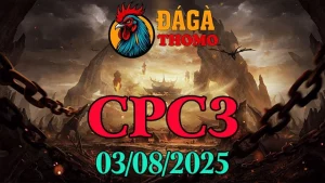 Xem lại clip đá gà Thomo C3 hôm nay 03/08/2025