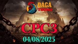Clip đá gà Thomo hôm nay C3 ngày 04/08/2025