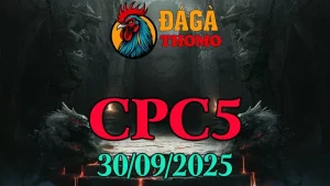 Phát lại clip đá gà C5 ngày 30/09/2025