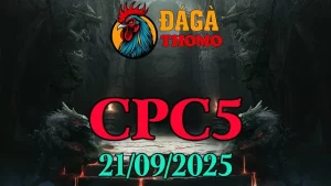 Clip full trận đá gà C5 Campuchia ngày 21/09/2025