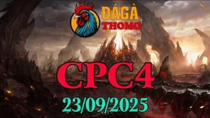 Clip gà chọi trực tiếp C4 Thomo hôm nay 23/09/2025