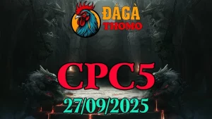 Full clip đá gà Thomo trường C5 ngày 27/09/2025