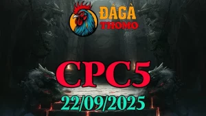 Phát lại đá gà trực tiếp Thomo c5 hôm nay 22/09/2025