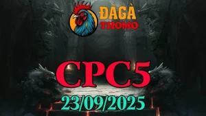 Xem lại đá gà Thomo hôm nay c5 ngày 23/09/2025