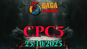 Xem lại Clip đá gà trực tiếp C5 ngày 25/10/2025