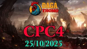 Phát lại trận đá gà Thomo C4 sáng nay 25/10/2025