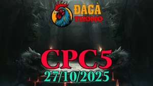 Xem lại Clip đá gà trực tiếp C5 ngày 27/10/2025