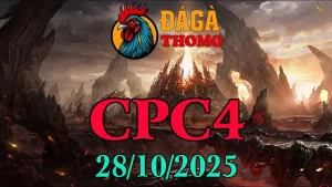 Phát lại trận đá gà Thomo C4 sáng nay 28/10/2025