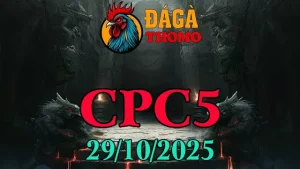 Xem lại Clip đá gà trực tiếp C5 ngày 29/10/2025