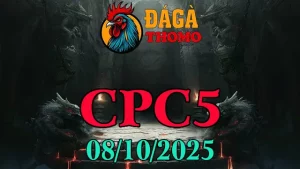 Xem lại Clip đá gà trực tiếp C5 08/10/2025