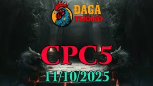 Xem lại Clip đá gà trực tiếp C5 ngày 11/10/2025