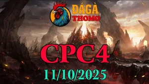 Phát lại trận đá gà Thomo C4 sáng nay 11/10/2025