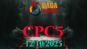 Xem lại Clip đá gà trực tiếp C5 ngày 12/10/2025