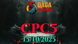 Xem lại Clip đá gà trực tiếp C5 ngày 15/10/2025