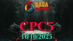 Xem lại Clip đá gà trực tiếp C5 ngày 16/10/2025