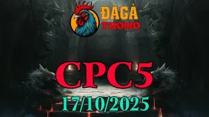 Xem lại Clip đá gà trực tiếp C5 ngày 17/10/2025