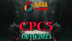 Xem lại Clip đá gà trực tiếp C5 ngày 18/10/2025