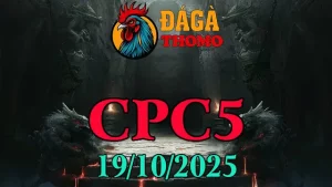 Xem lại Clip đá gà trực tiếp C5 ngày 19/10/2025