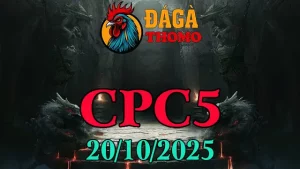 Xem lại Clip đá gà trực tiếp C5 ngày 20/10/2025