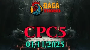 Xem lại Clip đá gà trực tiếp C5 ngày 01/11/2025