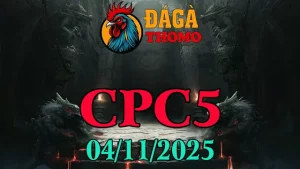 Xem lại Clip đá gà trực tiếp C5 ngày 04/11/2025